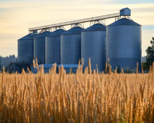 Grain Monitoring System